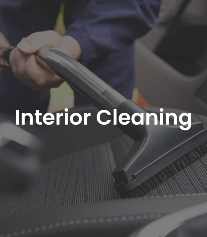 classic raja car decor